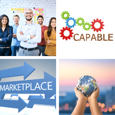 Entrepreneur capabilities in turbulent marketplace for sustainable business